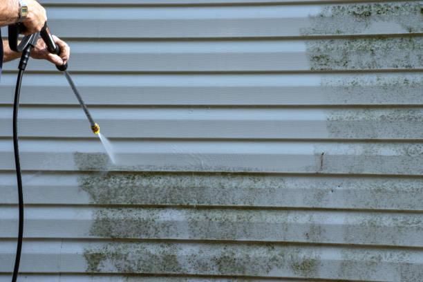 Best Property Management Cleanouts  in Fairport Harbor, OH